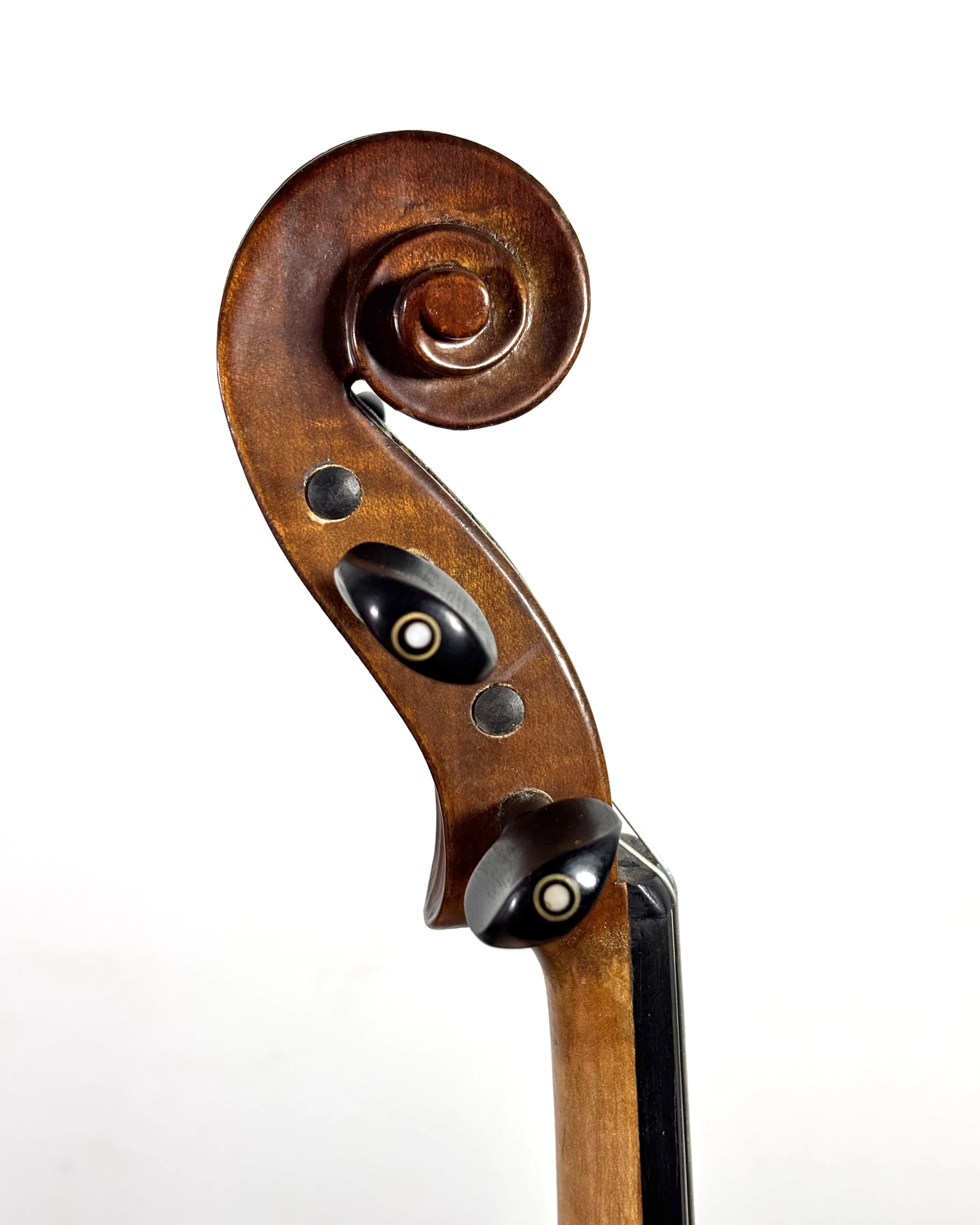 Violino Eagle Series VE244